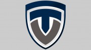 True View Security Solutions