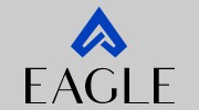 Eagle Security Group
