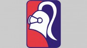 Knight Security Alarms