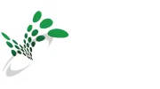 AT&I Systems
